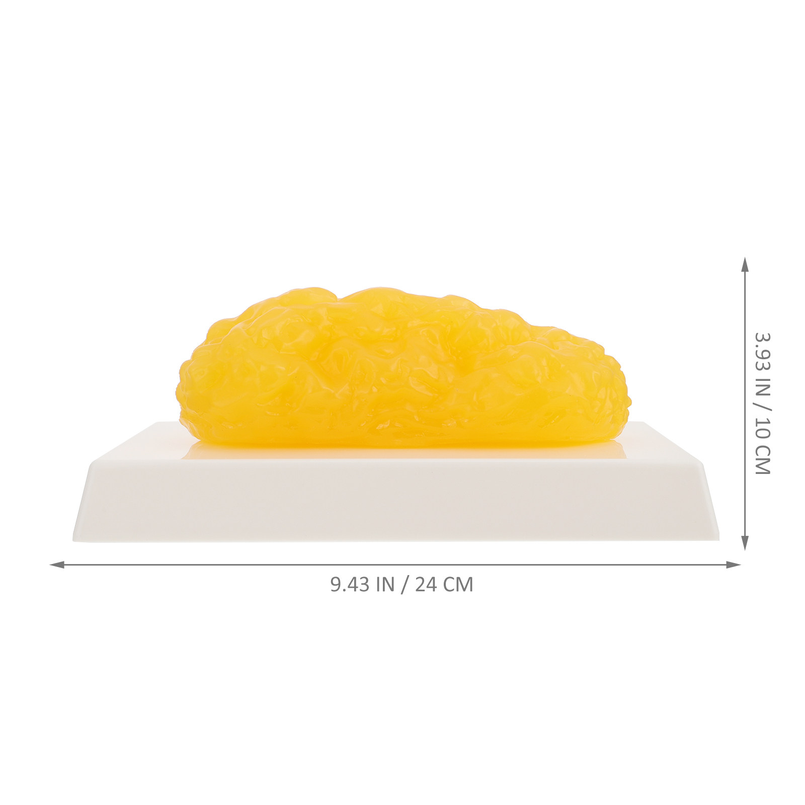 Human Body Fat Pound Fat Anato - огляд і ціна Fitness Nutrition Diet