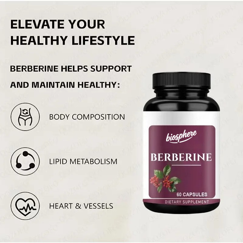 Berberine Supplement-60 vegeta - огляд і ціна Berberine Hcl Capsule